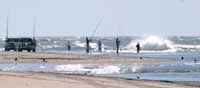 Cape Lookout point attracts surf fishing devotees